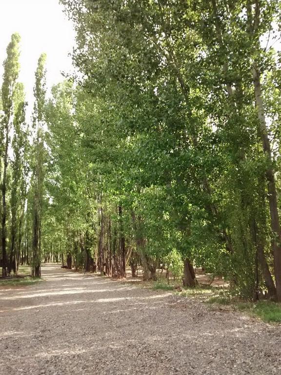 Terrazas En El Bosque Cabanas Маларгуе Екстер'єр фото